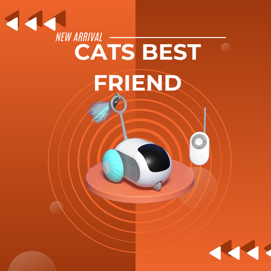 Cats best friend - niemals mehr gelangweilte Katzen